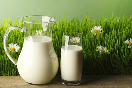 杯牛奶罐子新鲜的草甸上洋甘菊花草地上的杯牛奶罐子图片