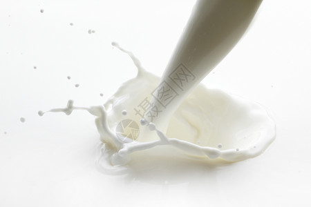 飞溅液体飞溅的牛奶在白色背上背景