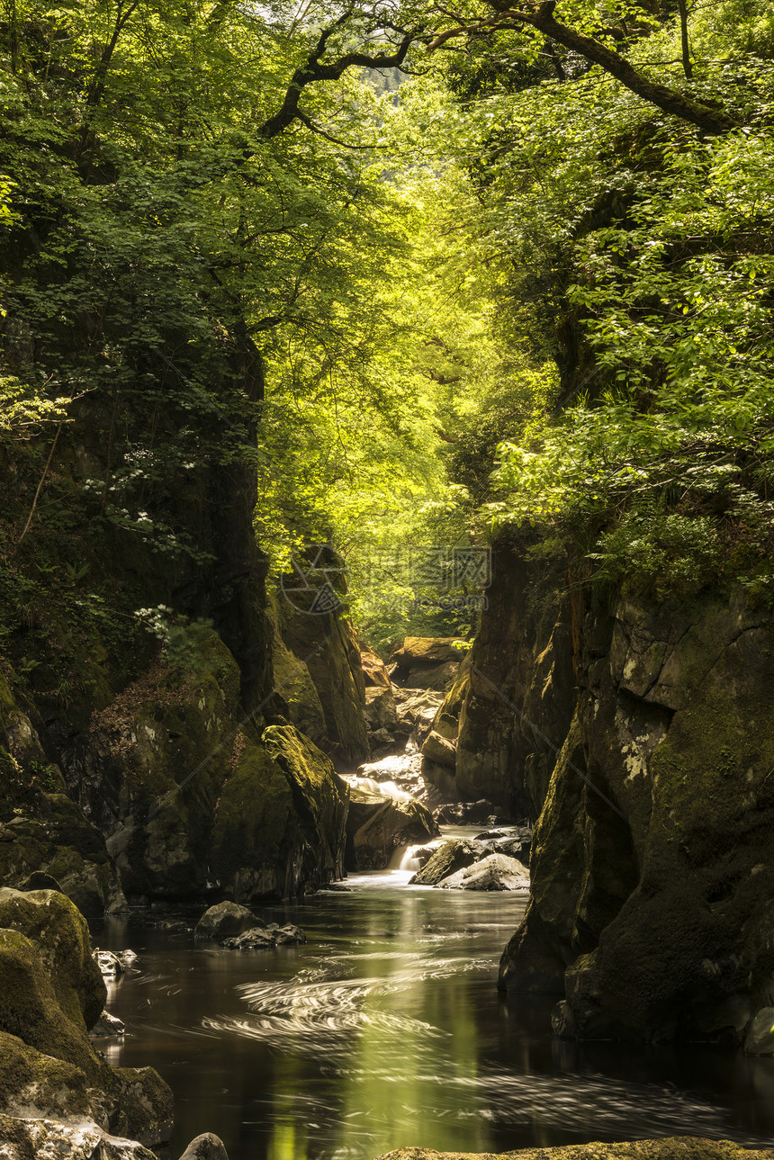 美丽的缥缈景观,深邃的峡谷,岩壁溪流流过郁郁葱葱的绿色植物图片