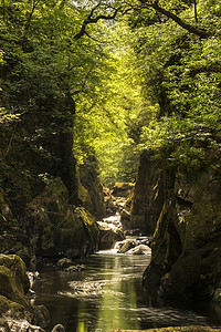 美丽的缥缈景观,深邃的峡谷,岩壁溪流流过郁郁葱葱的绿色植物背景图片