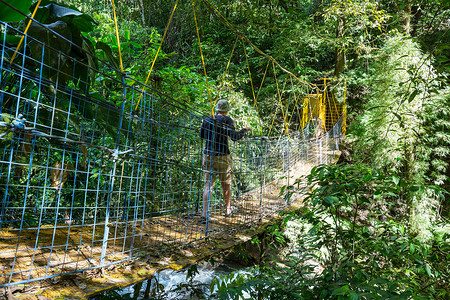 徒步旅行绿色热带丛林桥高清图片素材