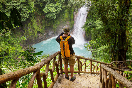 徒步旅行绿色热带丛林森林高清图片素材