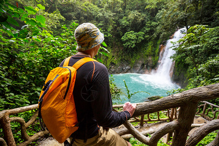 徒步旅行绿色热带丛林,哥斯达黎加,洲悬挂高清图片素材