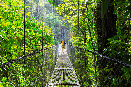 徒步旅行绿色热带丛林旅行者高清图片素材