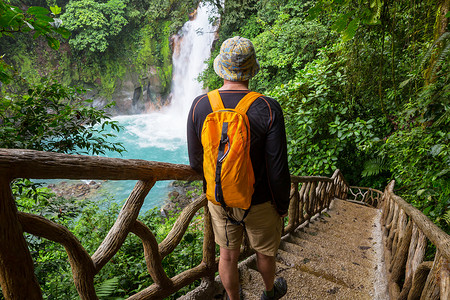 瀑布桥徒步旅行绿色热带丛林背景