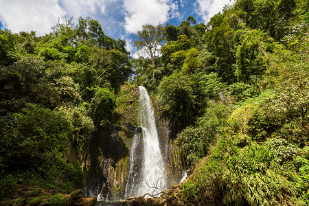 美丽的小瀑布绿色丛林,哥斯达黎加洲背景图片