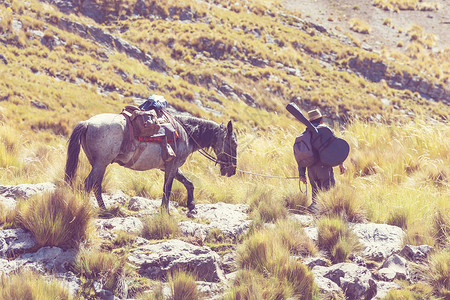毛驴商队科迪利拉华瓦什,秘鲁,南美洲高清图片