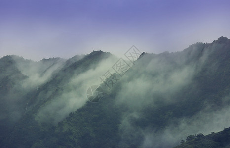 山里的雾高山上的雾图片