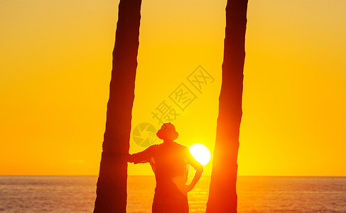 夏威夷日落夏威夷日落的美丽景色图片