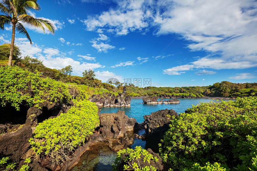 毛伊夏威夷毛伊岛上美丽的热带景观图片