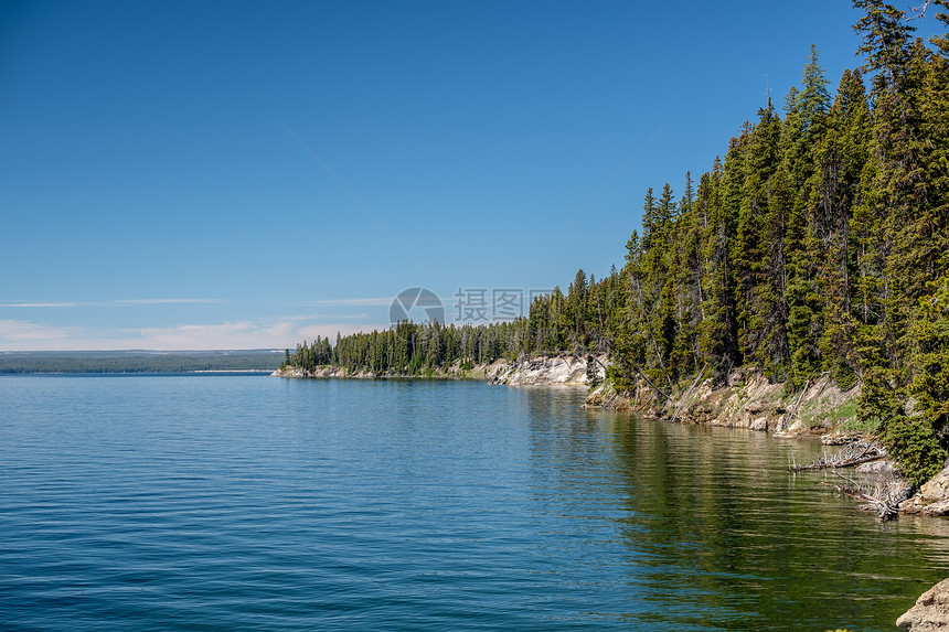 黄石湖与森林景观,怀俄明州,美国图片