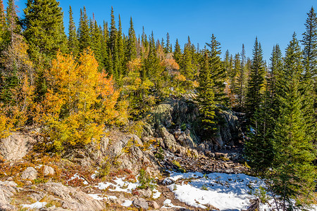 季节变化,雪秋季白杨树岩石山公园,科罗拉多州,美国图片