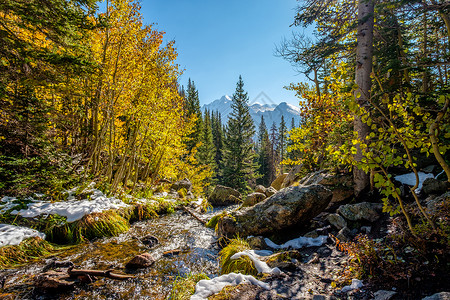 季节变化,雪秋季白杨树岩石山公园,科罗拉多州,美国背景图片