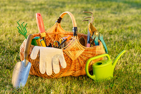 篮子里的园艺工具草地上的浇水罐柳条篮子里的园艺工具草地上的浇水罐图片