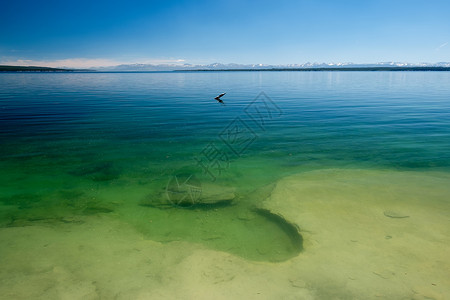 黄石湖,怀俄明州,美国黄石湖温泉,西拇指间歇泉盆地地区,美国图片