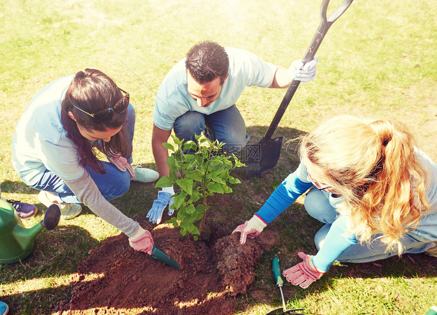 志愿服务慈善人生态理念群快乐的志愿者公园植树群志愿者公园植树图片