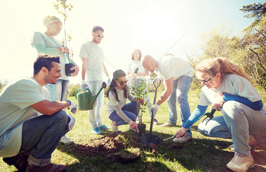 志愿服务慈善人生态理念群快乐的志愿者公园里植树用铲子挖洞群志愿者公园植树群志愿者公园植树图片