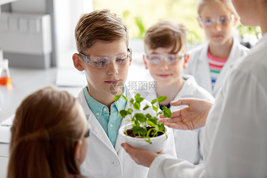 教育,科学学校学生教师与植物生物课生物课上植物的学生老师图片