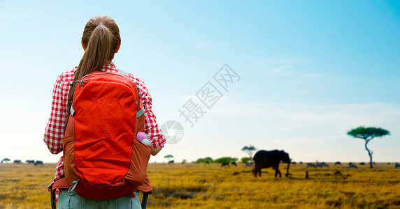 冒险,旅行,旅游,徒步旅行人的轻的女人带着背包非洲草原背景的动物女人背着背包非洲草原上背景图片