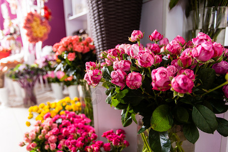 收集美丽的玫瑰家花卉商店出售花店里的花玫瑰背景图片