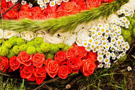 红色玫瑰洋甘菊婚礼的图案花卉图案顶部视图背景图片