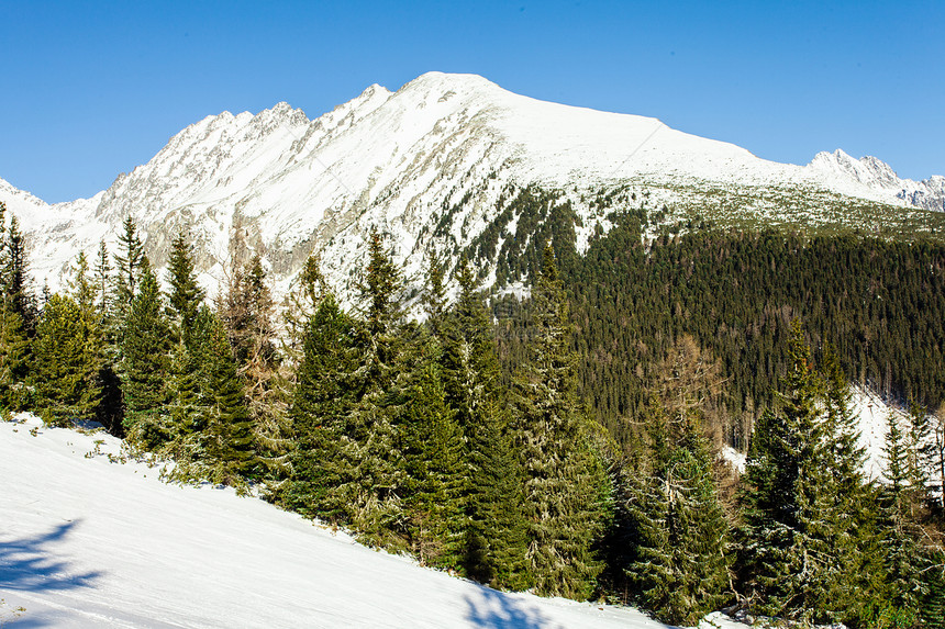 高塔特拉山的滑雪坡寒冷的晴天滑雪坡洛杉矶图片