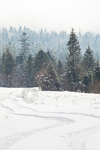 美丽的冬季森林山丽的冬季景观,附近覆盖着雪松树林图片