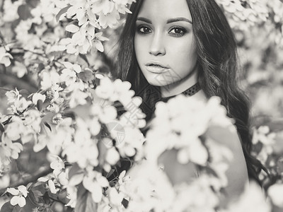 黑白户外时尚照片,美丽的轻女人被苹果树的花包围春天开花了夏天的气氛图片