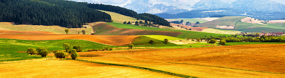 春耕山全景风景如画的犁地斯洛伐克的Tatras山的山谷中耕地的农村景象背景图片