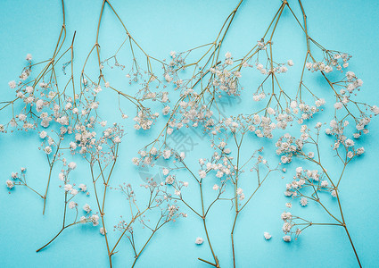 花卉布局与小白色花绿松石蓝色背景,顶部视图图片
