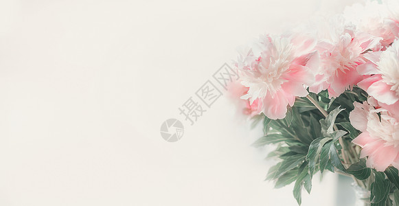 可爱吃货边框淡背景的粉白色牡丹柔的焦点花卉边框模板横幅背景