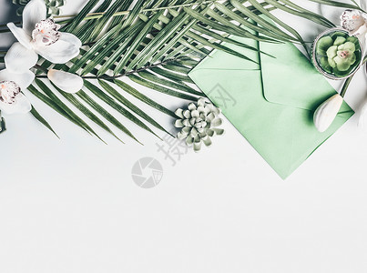 绿色热带叶子,兰花花,信封,肉质装饰白色桌背景,顶部视图,边框背景图片