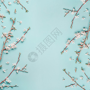 春季背景与樱花树枝蓝色桌,顶部视图,框架,平躺图片