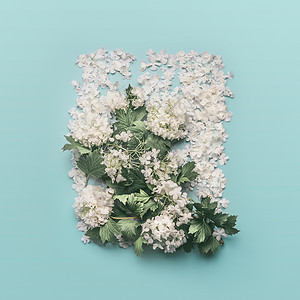 装饰花卉布局由白色的花,花瓣花糊状的蓝色背景春夏平躺,俯视婚礼生日其他假期的邀请函卡片背景图片