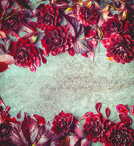 美丽的秋季勃艮花背景,顶部景观花卉布局卡片框架秋天菊花作曲图片