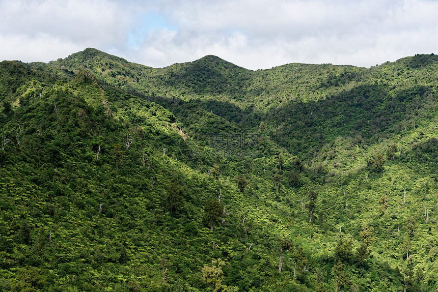 皮龙尼亚山,怀卡托,新西兰山顶附近的新西兰皮龙亚山的远景图片