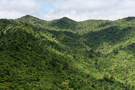 皮龙尼亚山,怀卡托,新西兰山顶附近的新西兰皮龙亚山的远景背景图片