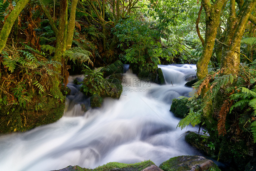 长时间暴露条被茂盛植物包围的河流中长时间暴露新西兰南怀卡托的TE怀侯人行道上的条河图片
