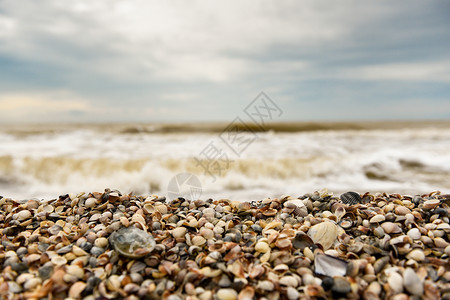 大海蓝天的背景下,贝壳的海岸线图片