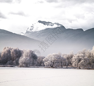 冬季景观森林山脉的背景户外的高清图片素材