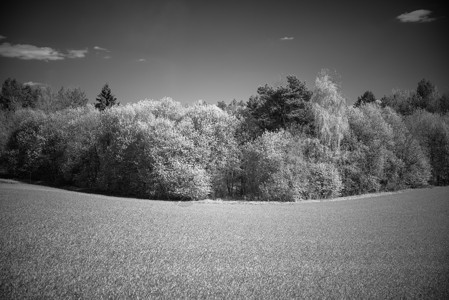 黑白景观红外线摄影欧洲黑白景观图片