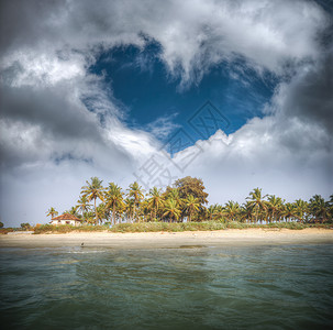 果阿海滩棕榈树云彩的心脏形状棕榈树的果阿海滩背景图片