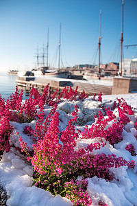 奥斯陆市的港口挪威奥斯陆市的港口高清图片
