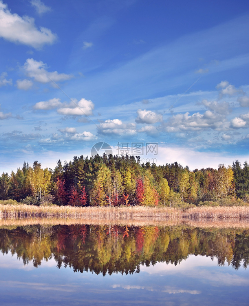 秋天的景观与五颜六色的树木湖边与倒影图片