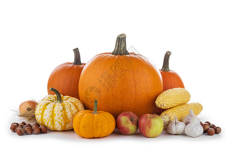 秋收生活与南瓜,小麦耳朵,榛子,大蒜,洋葱,玉米苹果木制背景秋收白色上图片