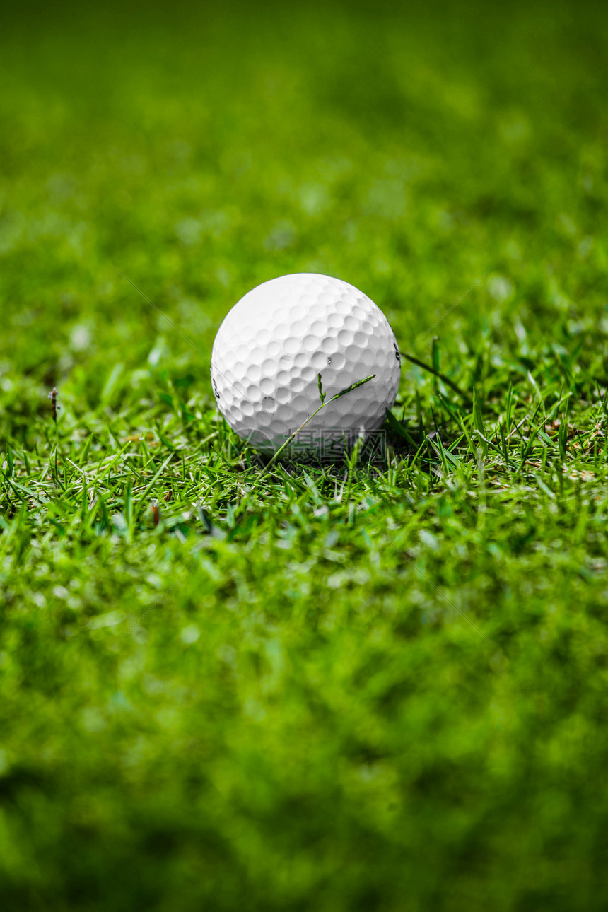 高尔夫球场绿草地上的高尔夫球,球场上的高尔夫球图片