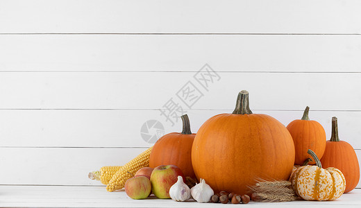 秋收生活与南瓜,小麦耳朵,榛子,大蒜,洋葱木制背景木桌上的秋收图片