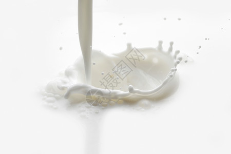 把牛奶溅白色背景的观上图片