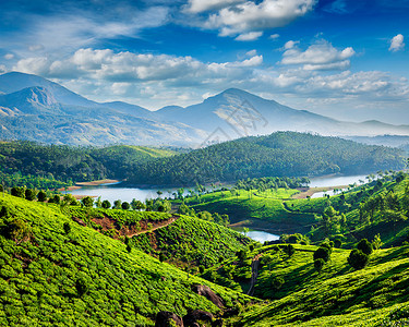 茶园穆希拉普扎亚尔河穆纳尔,喀拉拉邦,印度附近的山丘山上的茶园河流图片