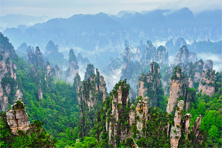 雾森景观中国著名的旅游景点张家界石柱崖山雾云中,湖南武陵源,中国张家界山脉,中国背景